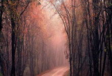 28圈：[NBA]詹姆斯分球 里弗斯一条龙上篮打进.