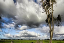 28圈：[NBA]约基奇吸引包夹 助攻默里隔扣詹姆斯.