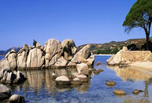 28圈：[CBA]闫宇峰：辽宁队赢在整体实力和冠军底蕴.